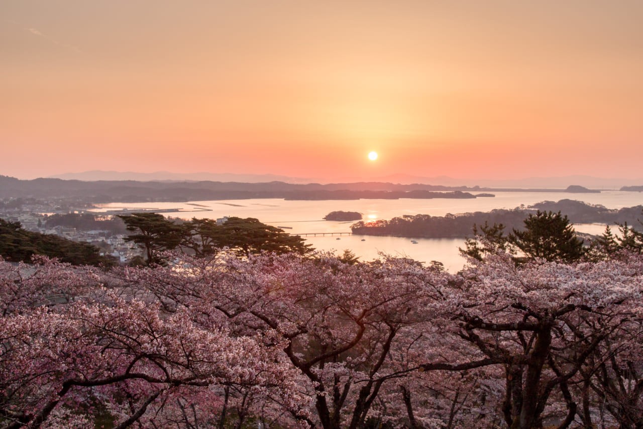 Japanese elegance + culture