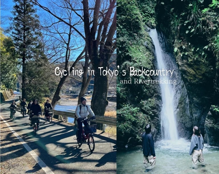watch-morning-practice-at-a-sumo-stable-in-tokyo-beauty-of-japan