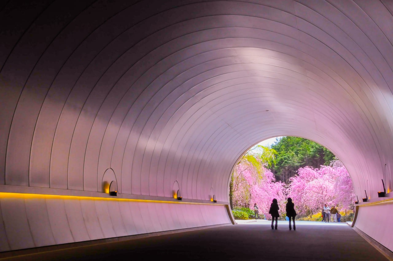 Miho Museum in Spring